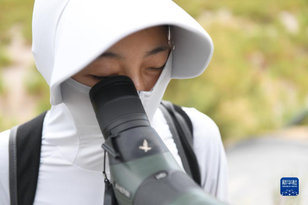 银钻娱乐苹果版下载